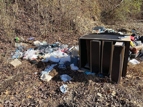 3-12 Illegal Dump 1.jpg